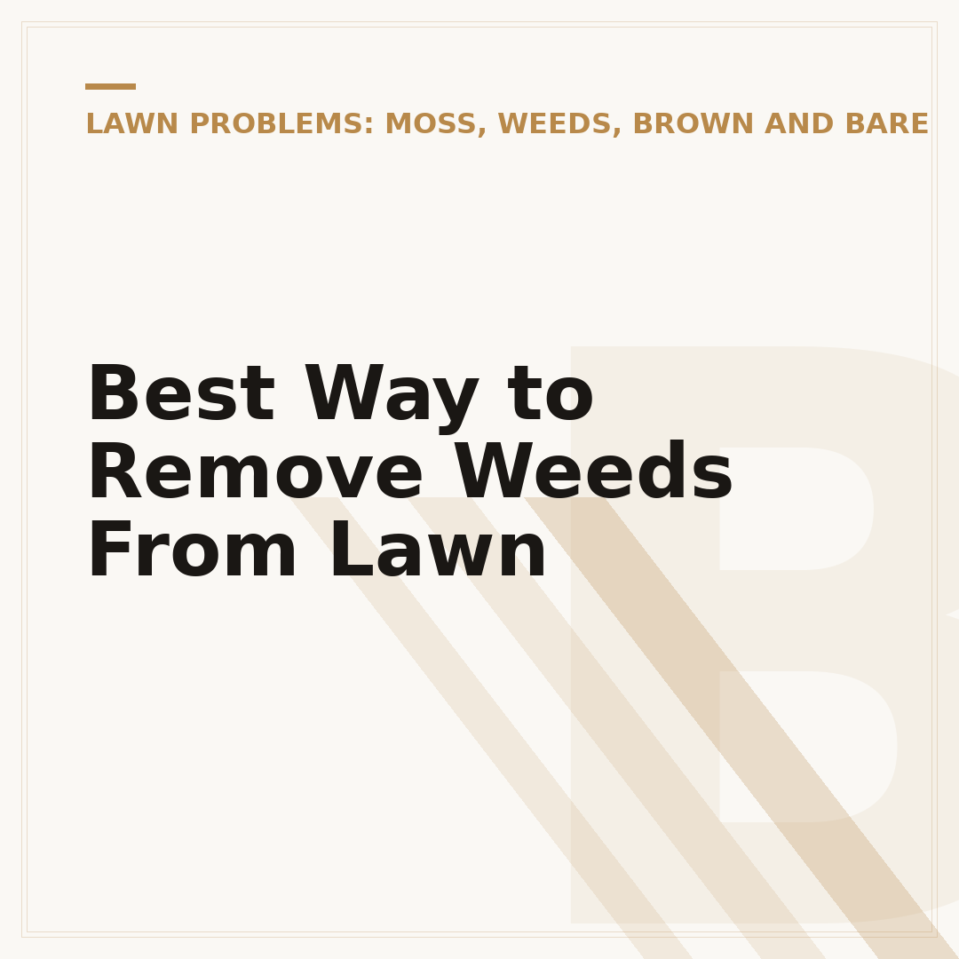 Best Way to Remove Weeds From Lawn