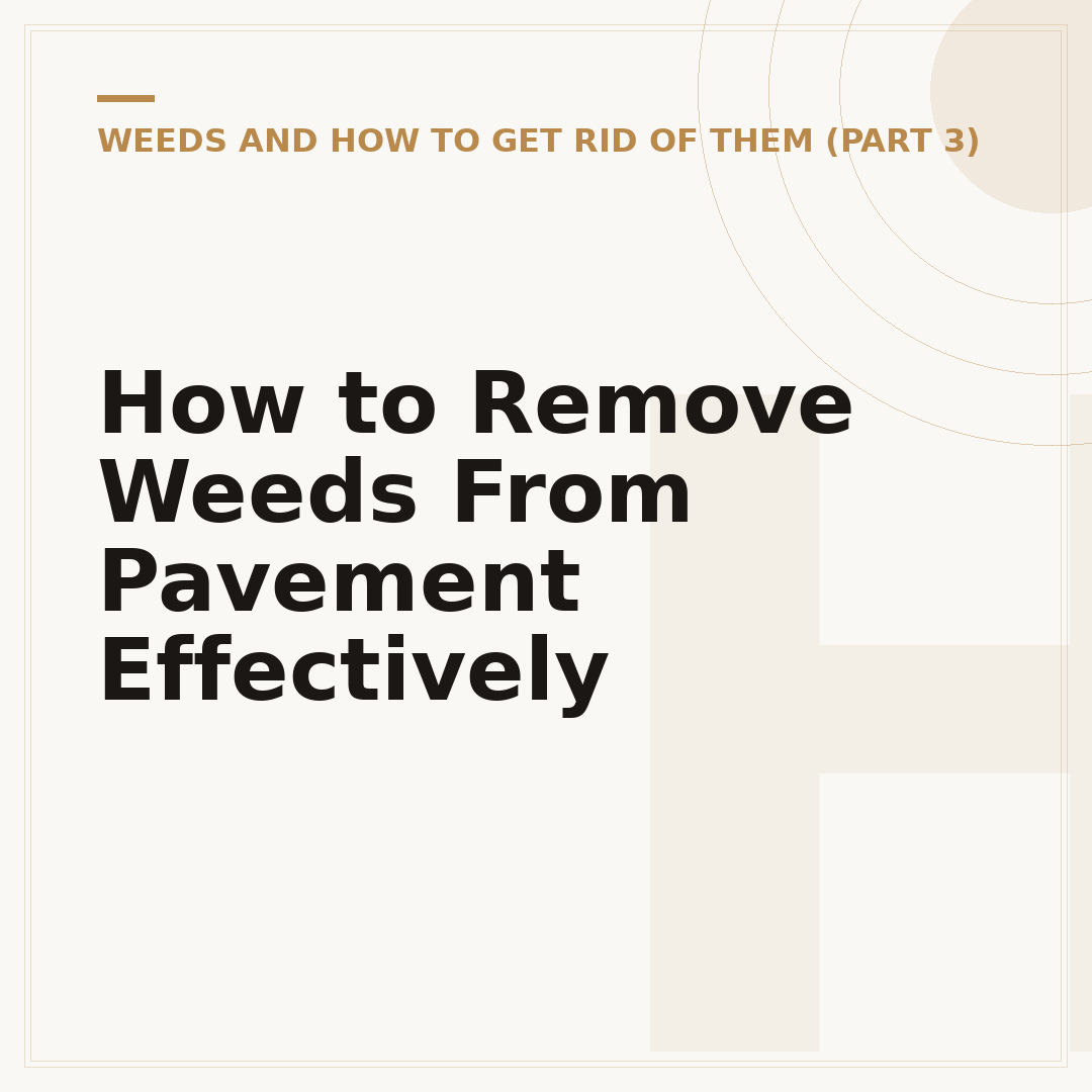 How to Remove Weeds From Pavement Effectively