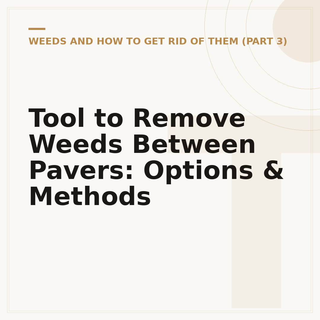 Tool to Remove Weeds Between Pavers: Options & Methods