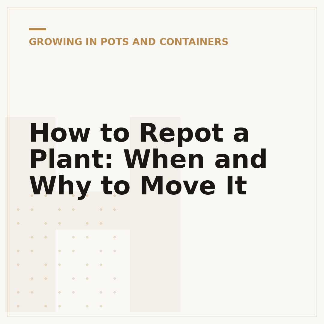 How to Repot a Plant: When and Why to Move It