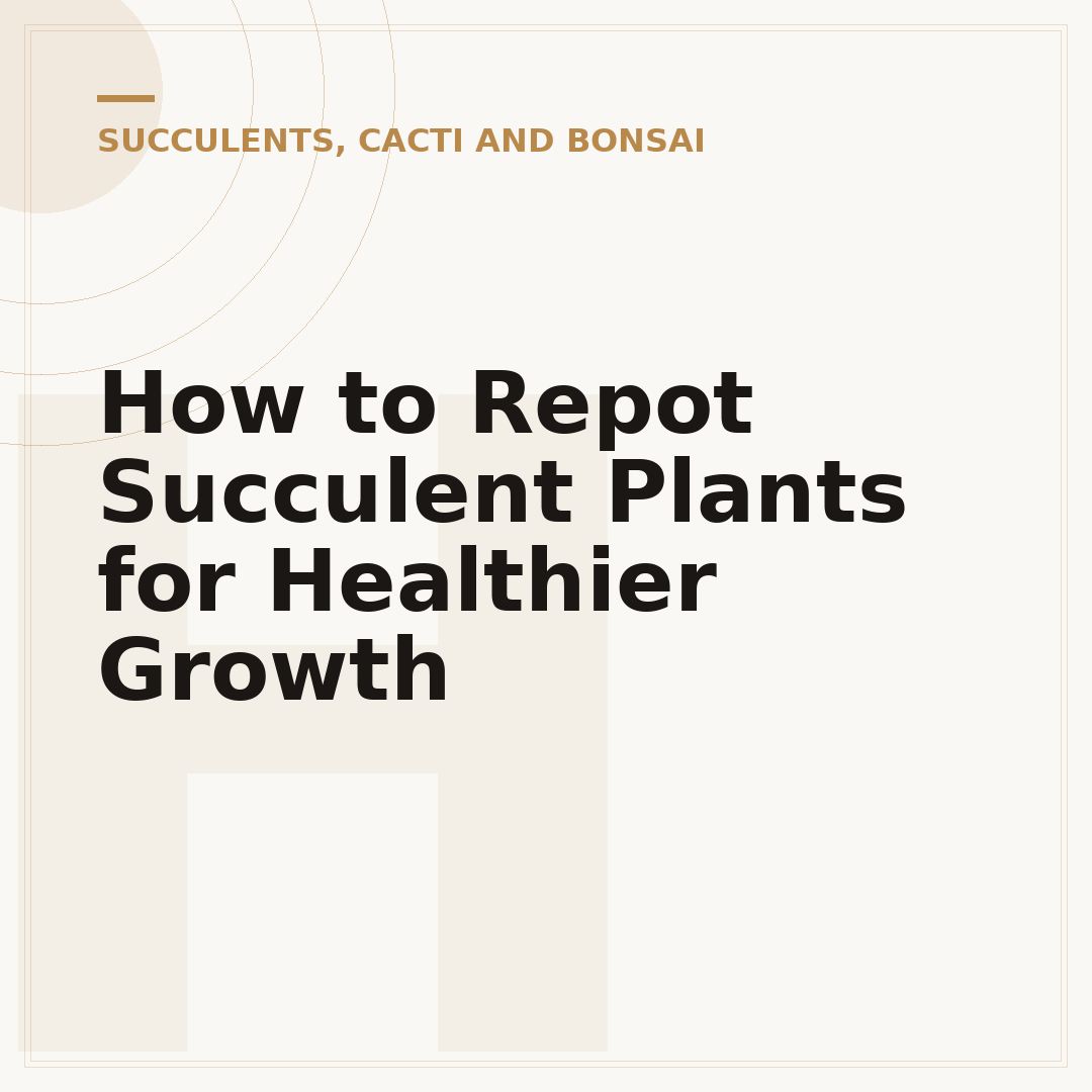How to Repot Succulent Plants for Healthier Growth