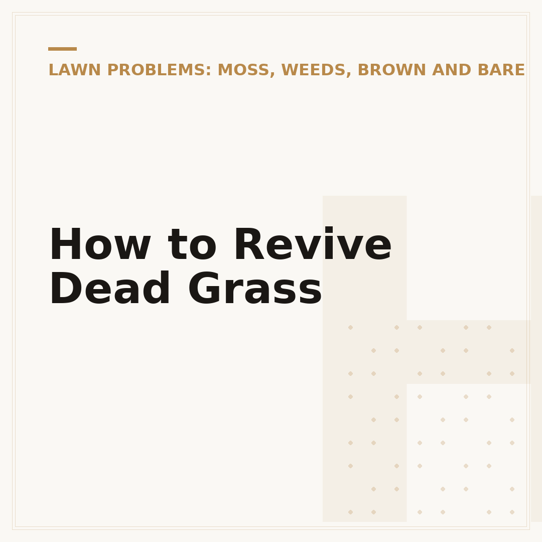 How to Revive Dead Grass