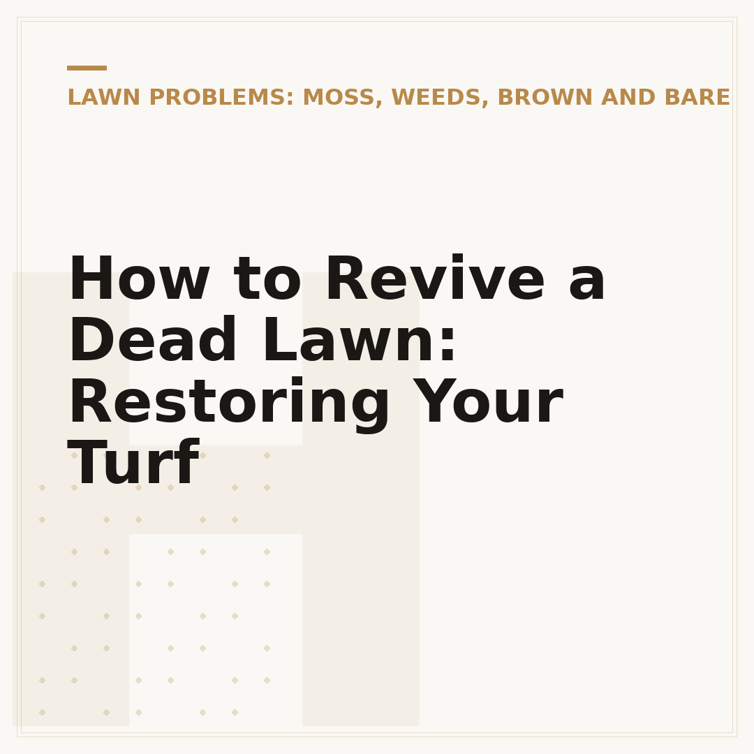 How to Revive a Dead Lawn: Restoring Your Turf