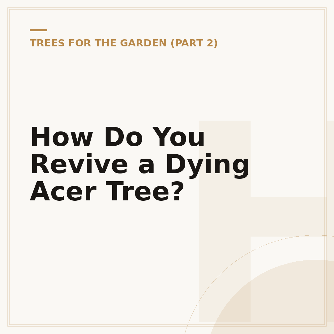 How Do You Revive a Dying Acer Tree?
