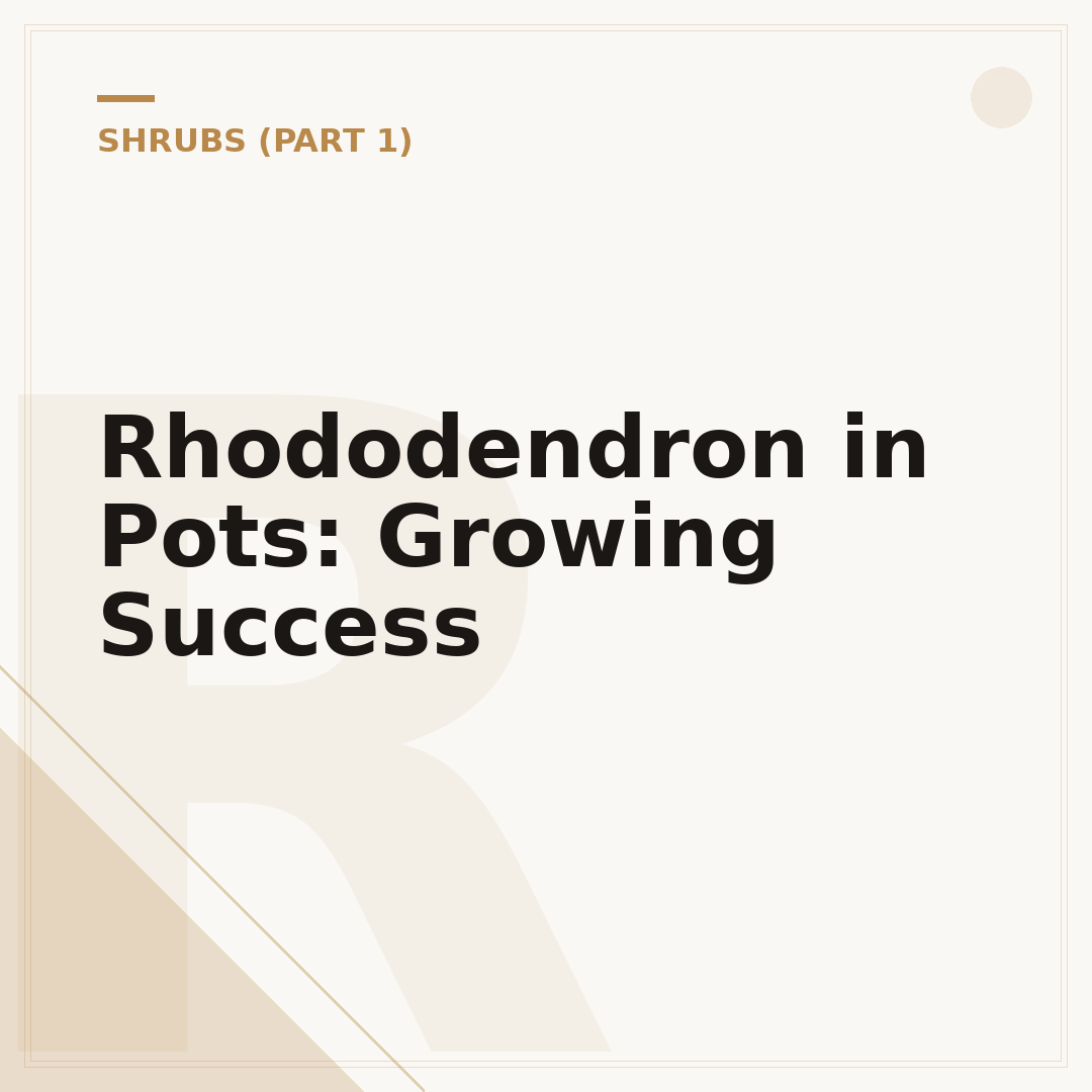 Rhododendron in Pots: Growing Success