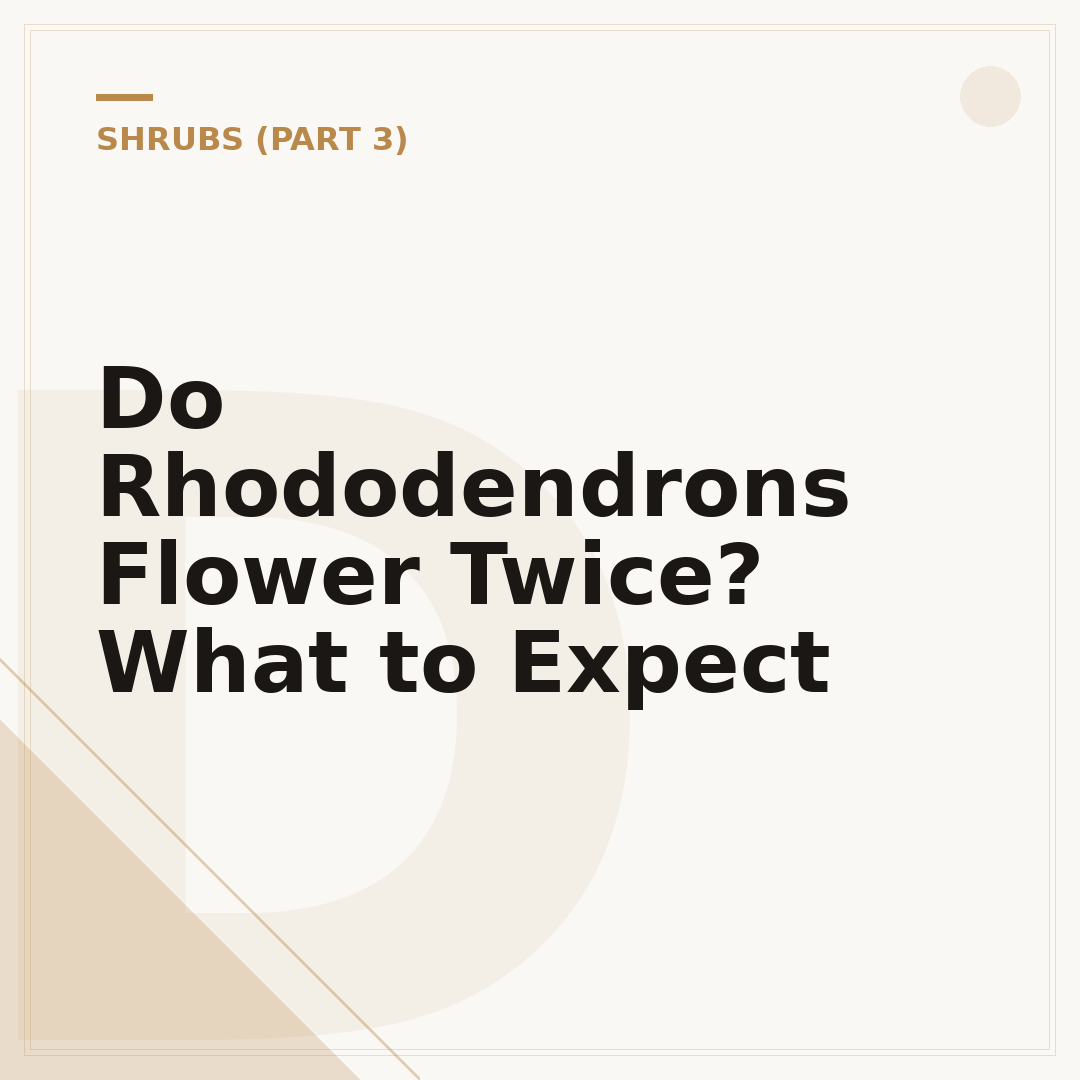 Do Rhododendrons Flower Twice? What to Expect
