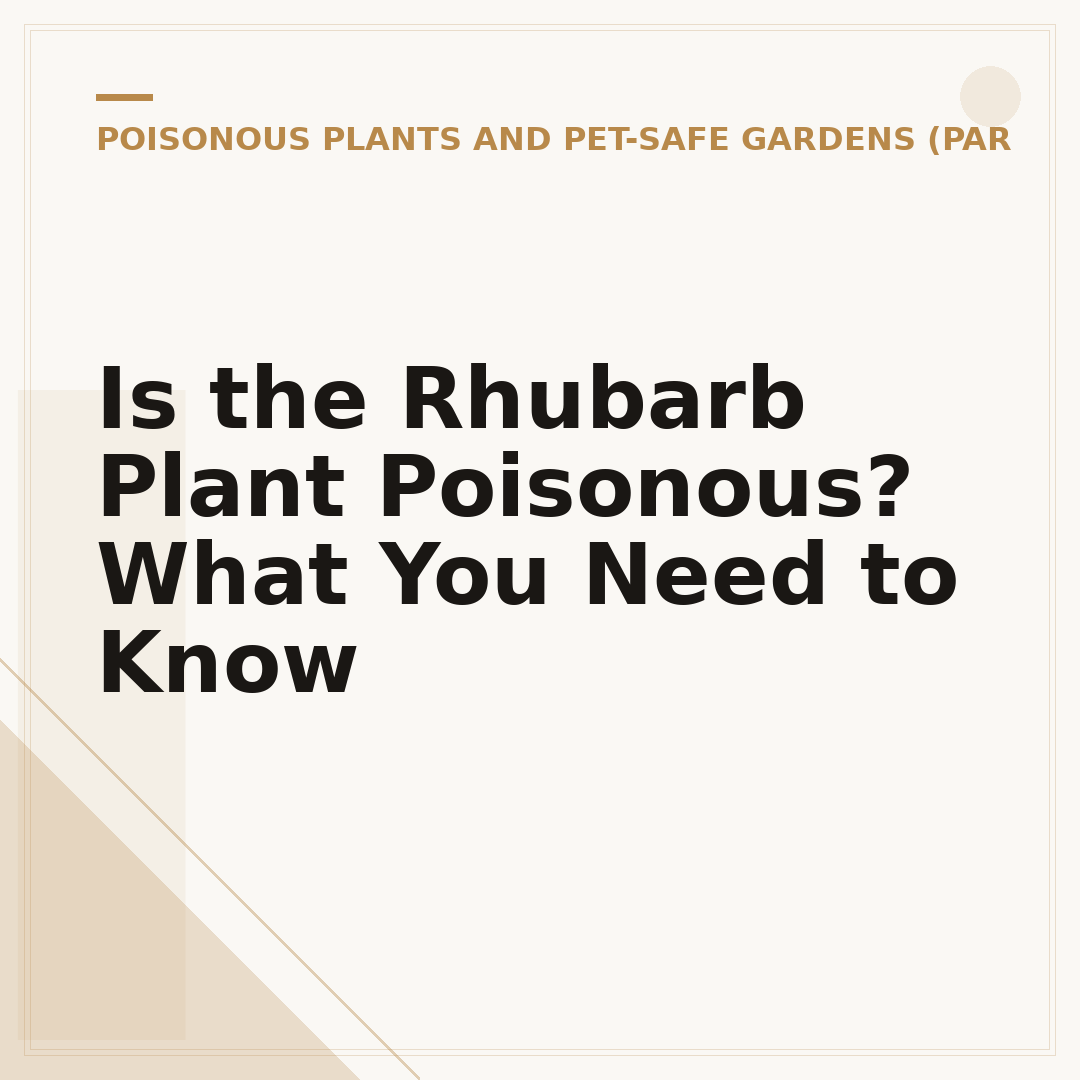 Is the Rhubarb Plant Poisonous? What You Need to Know