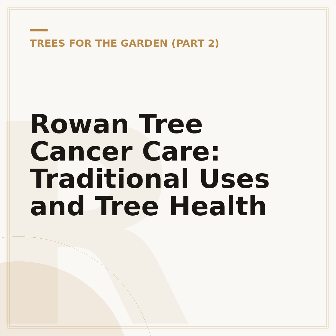 Rowan Tree Cancer Care: Traditional Uses and Tree Health