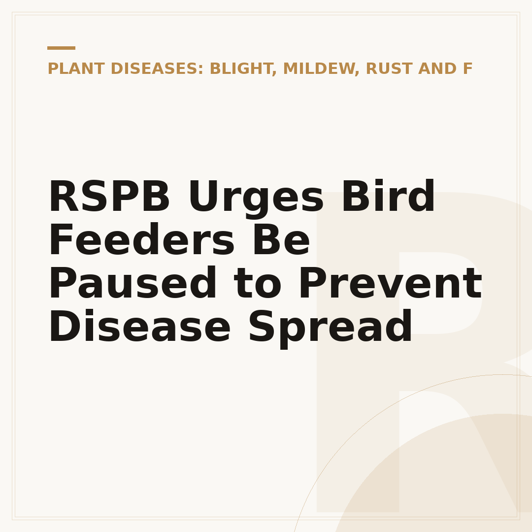 RSPB Urges Bird Feeders Be Paused to Prevent Disease Spread