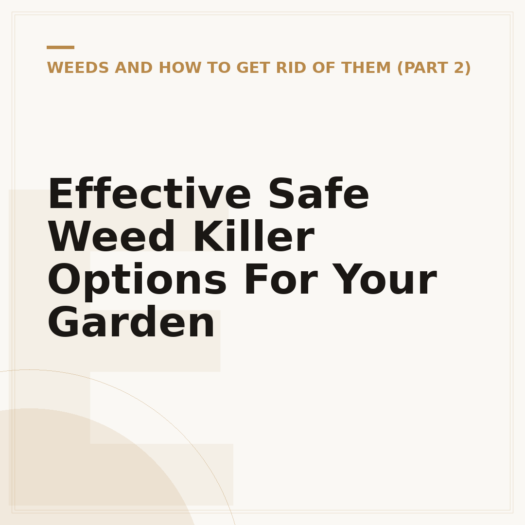 Effective Safe Weed Killer Options For Your Garden