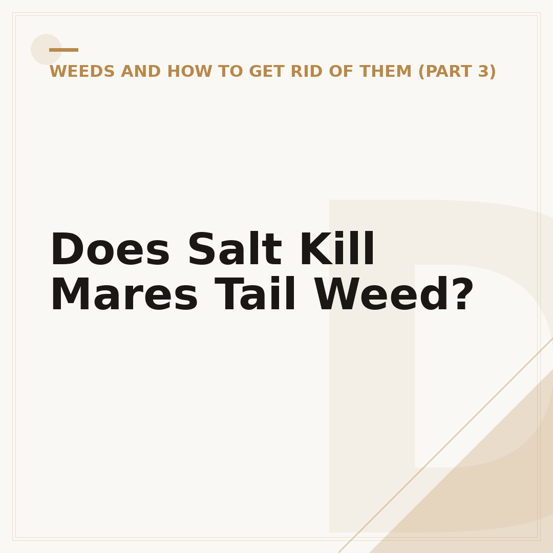 Does Salt Kill Mares Tail Weed?