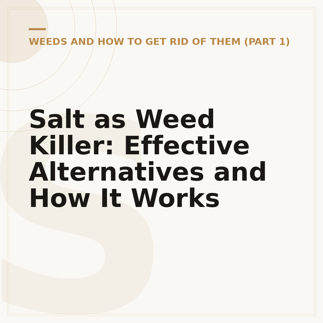 Salt as Weed Killer: Effective Alternatives and How It Works