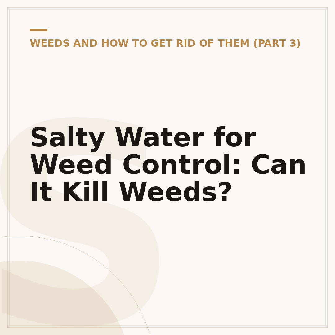 Salty Water for Weed Control: Can It Kill Weeds?