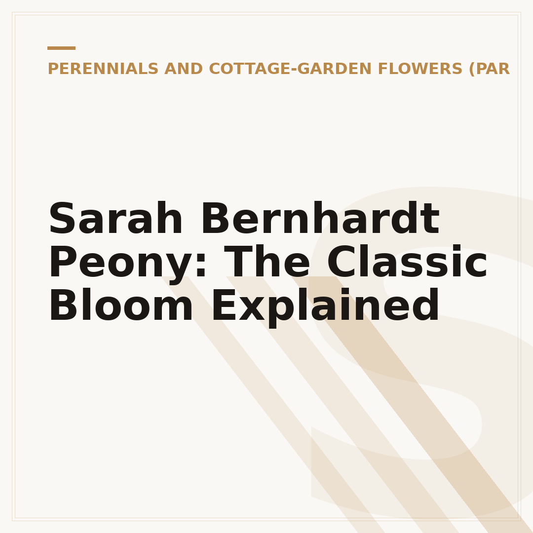 Sarah Bernhardt Peony: The Classic Bloom Explained