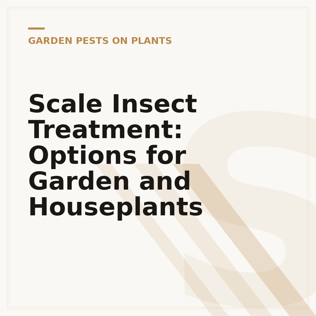 Scale Insect Treatment: Options for Garden and Houseplants