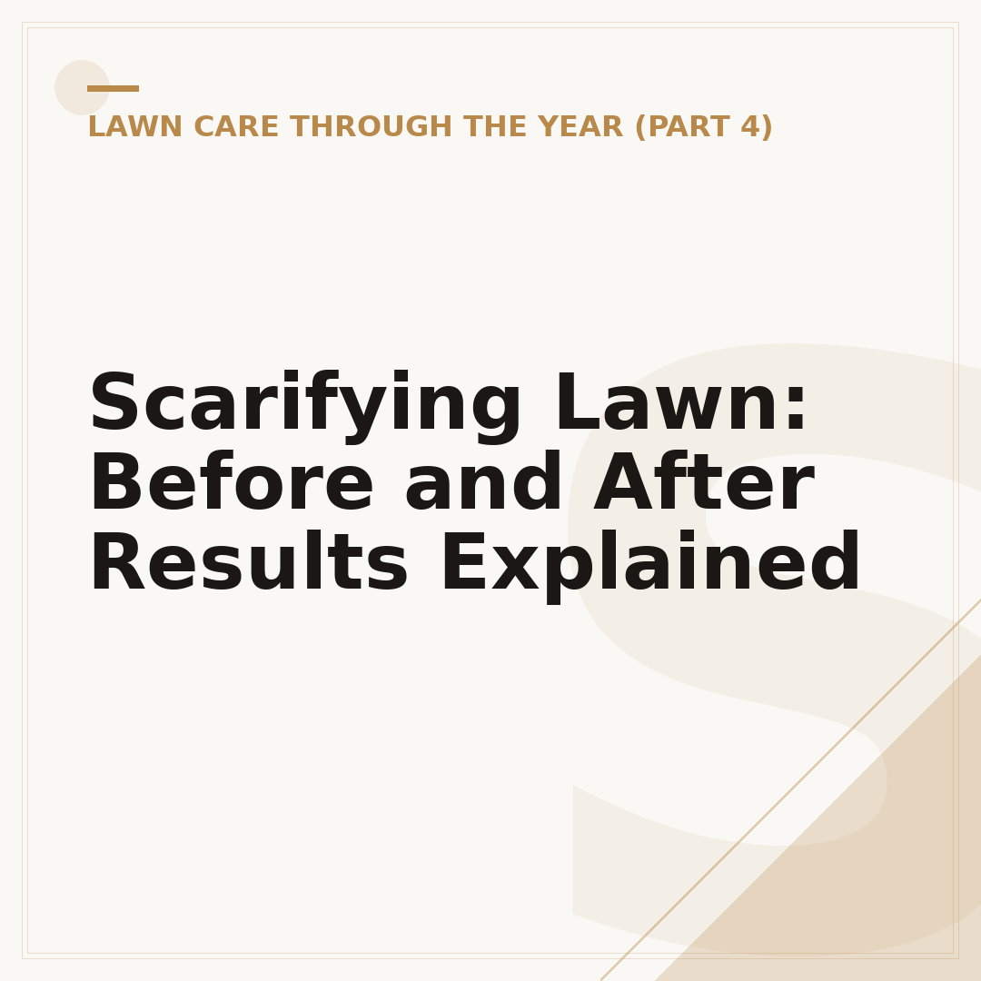 Scarifying Lawn: Before and After Results Explained