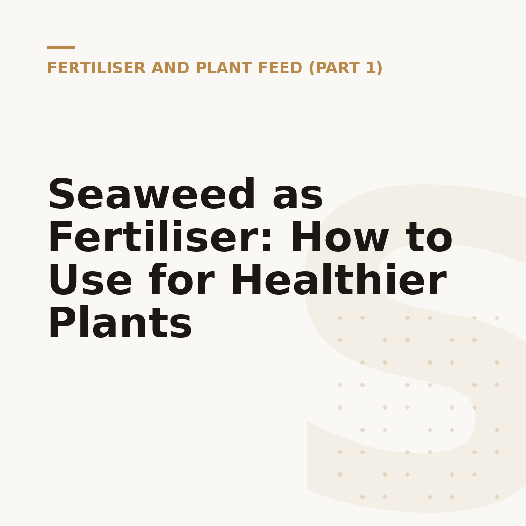 Seaweed as Fertiliser: How to Use for Healthier Plants