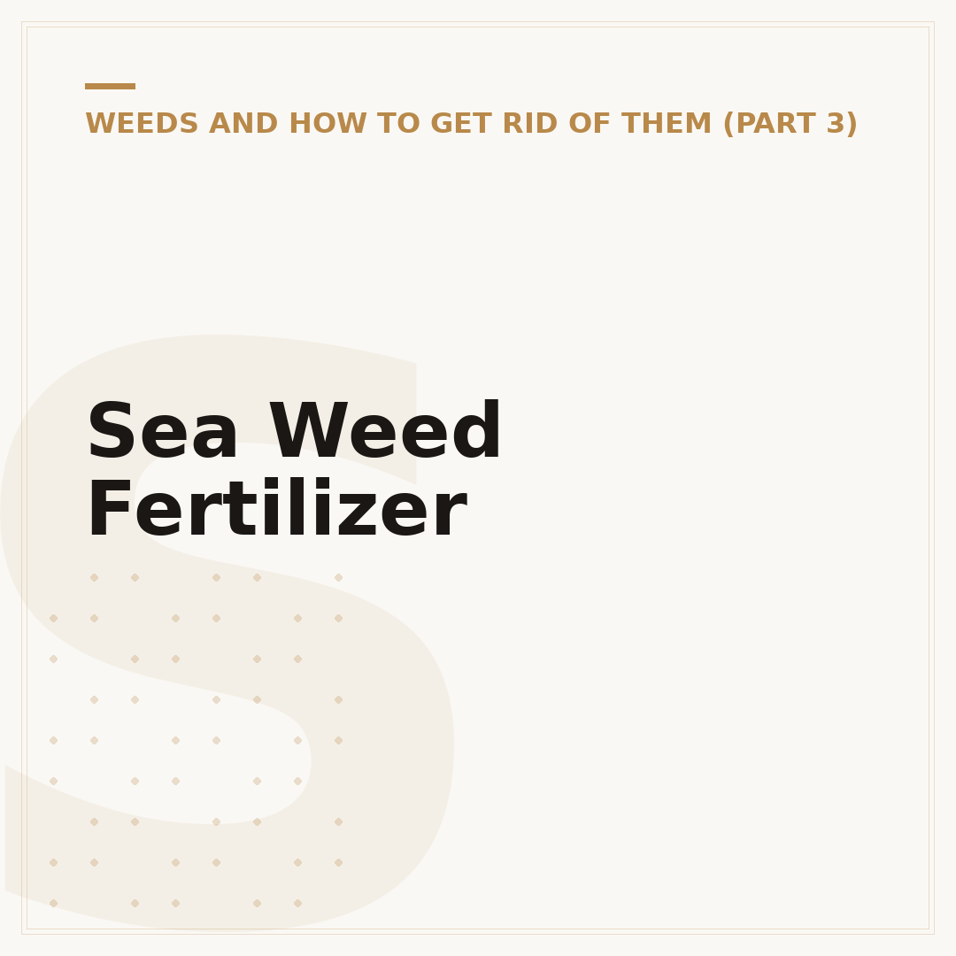 Sea Weed Fertilizer