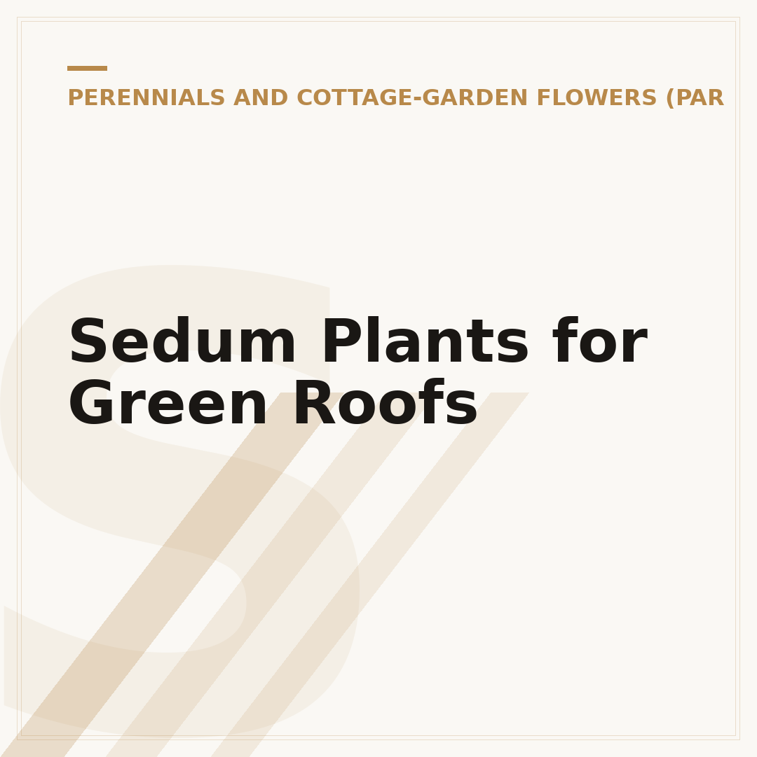 Sedum Plants for Green Roofs