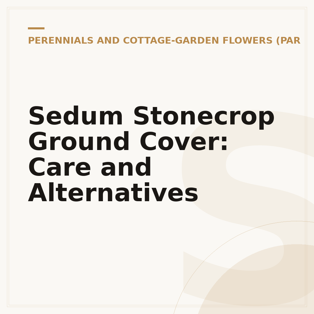 Sedum Stonecrop Ground Cover: Care and Alternatives