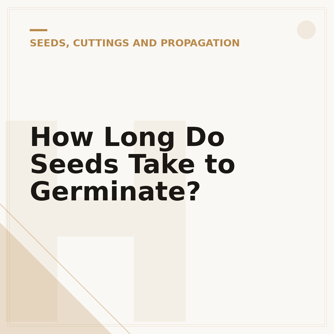 How Long Do Seeds Take to Germinate?