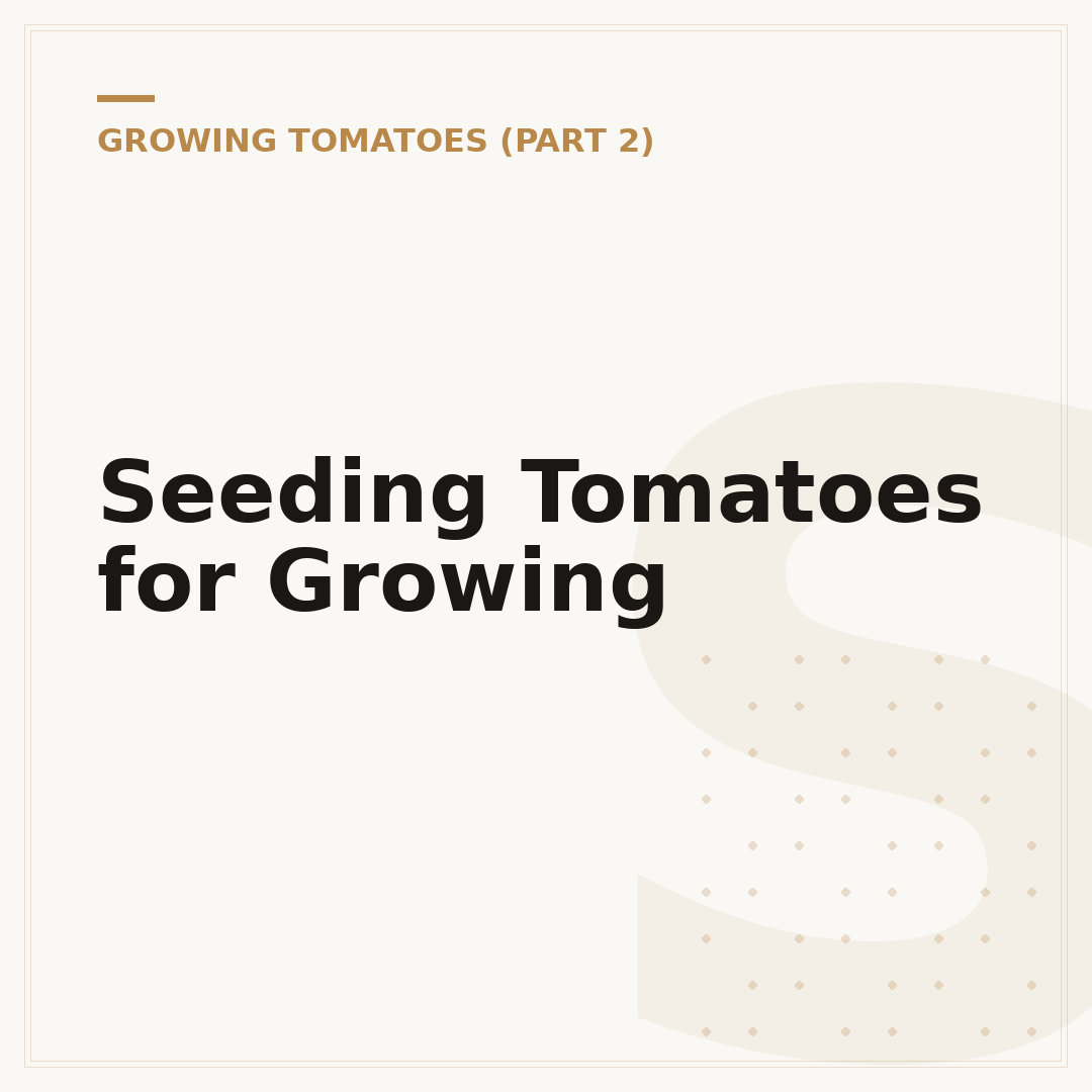 Seeding Tomatoes for Growing