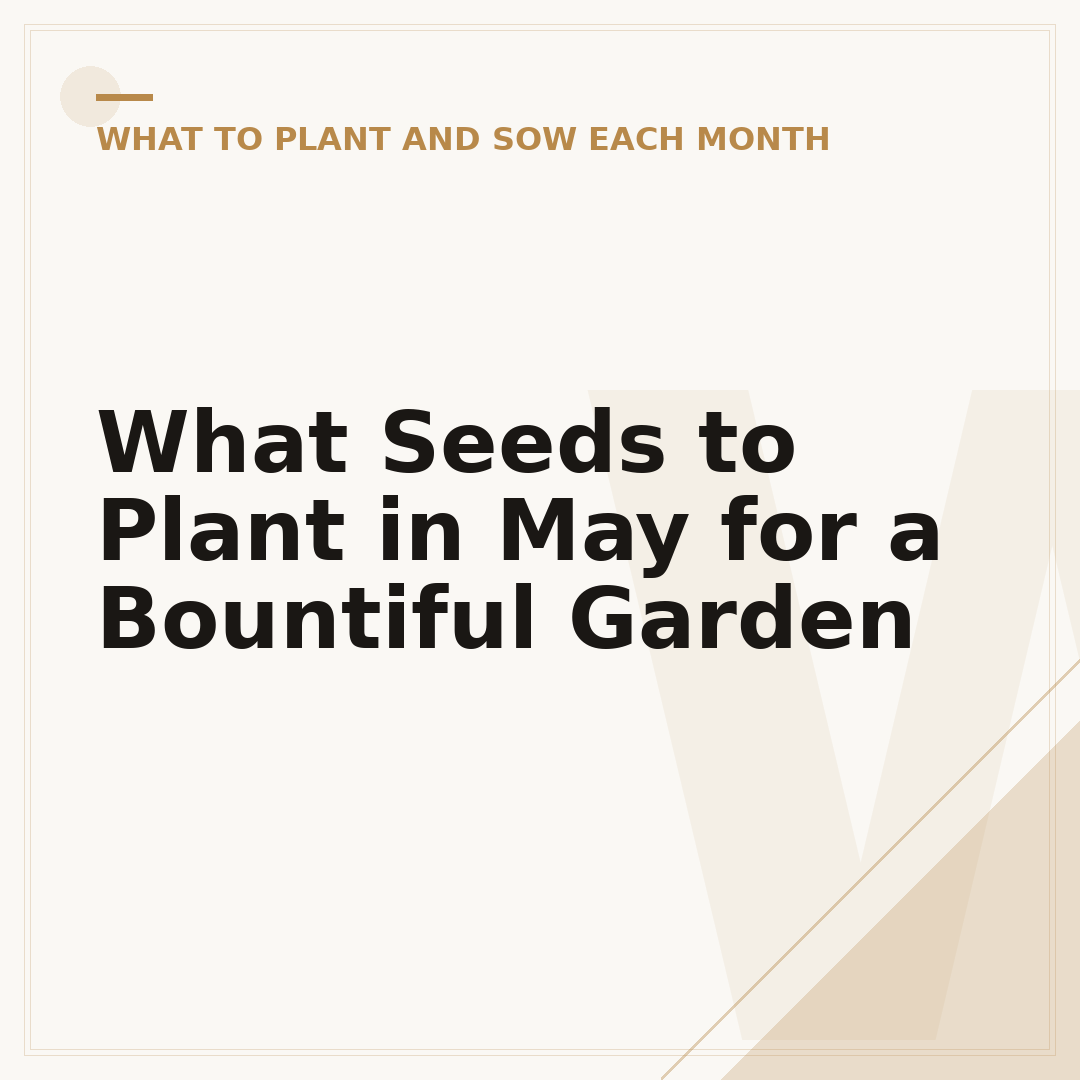 What Seeds to Plant in May for a Bountiful Garden
