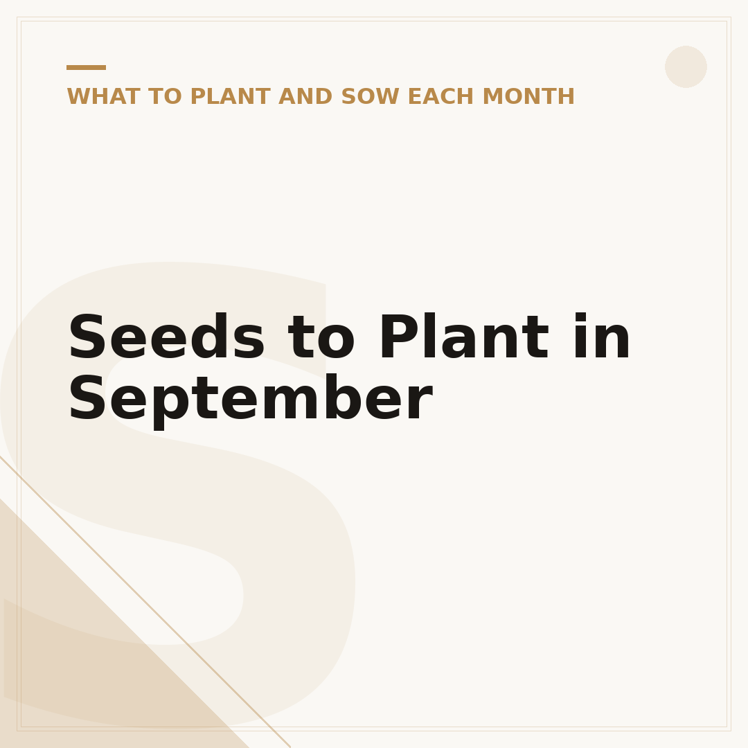 Seeds to Plant in September