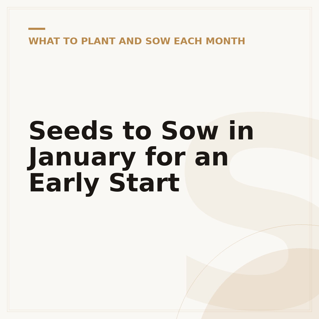 Seeds to Sow in January for an Early Start