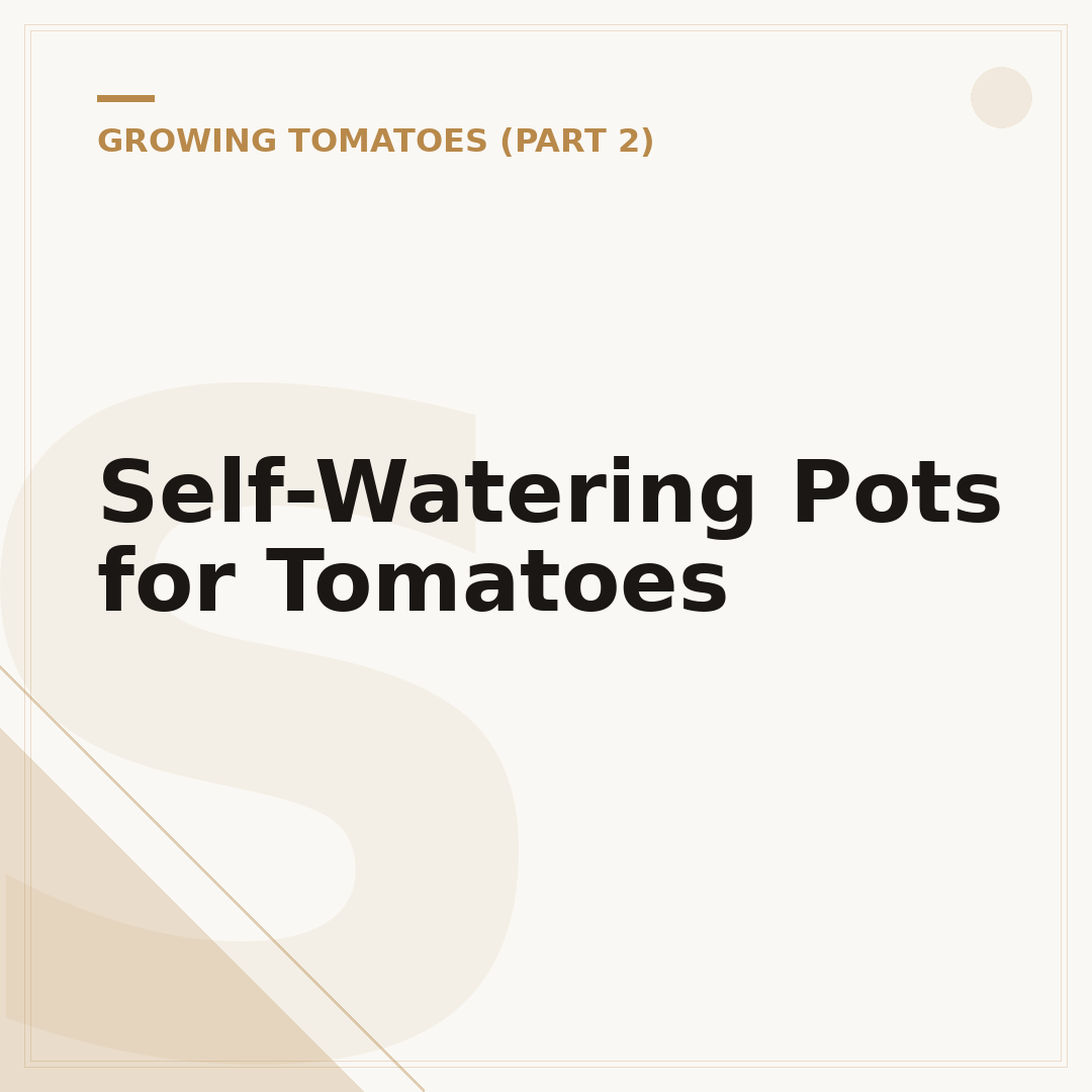 Self-Watering Pots for Tomatoes