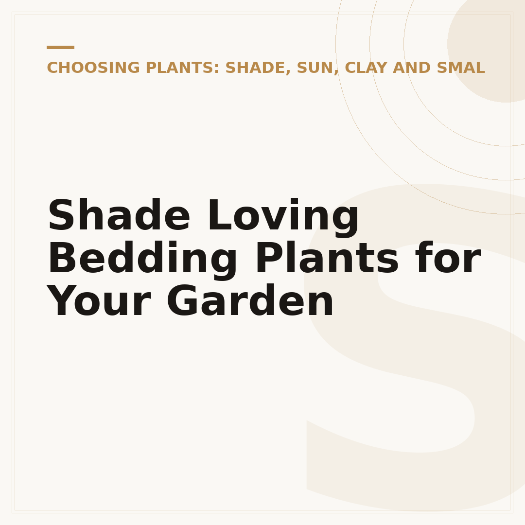 Shade Loving Bedding Plants for Your Garden