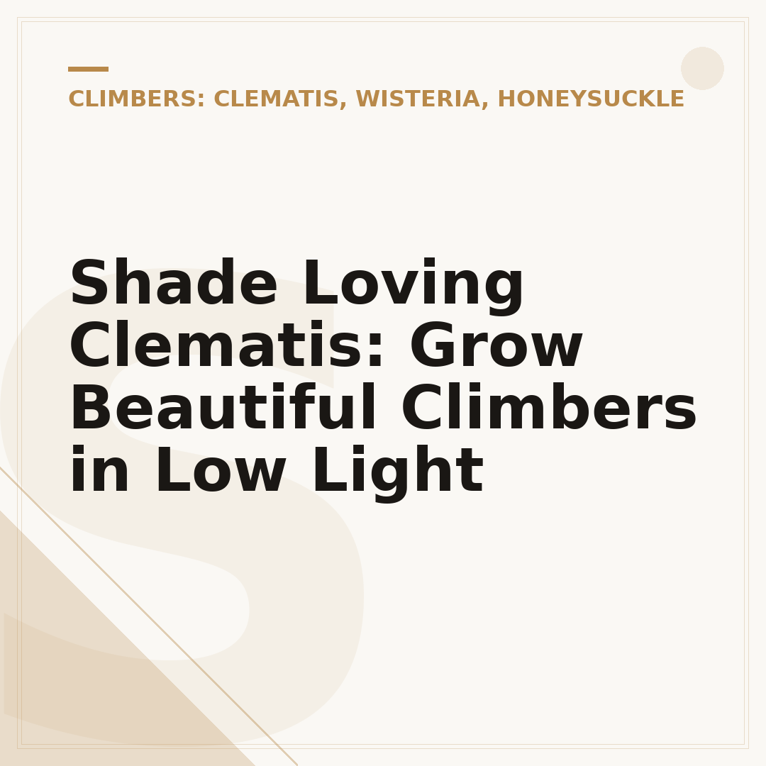Shade Loving Clematis: Grow Beautiful Climbers in Low Light
