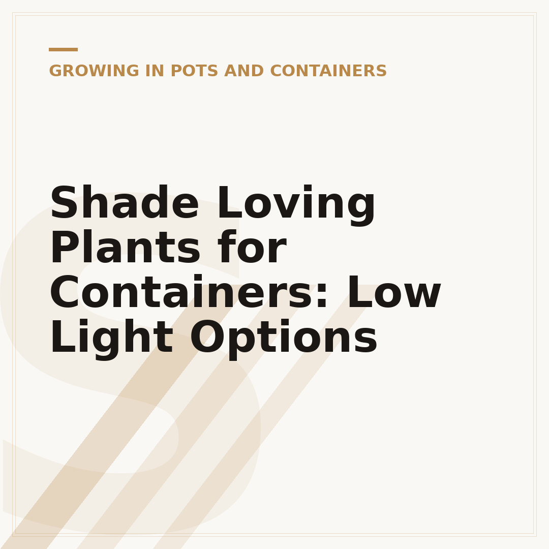 Shade Loving Plants for Containers: Low Light Options