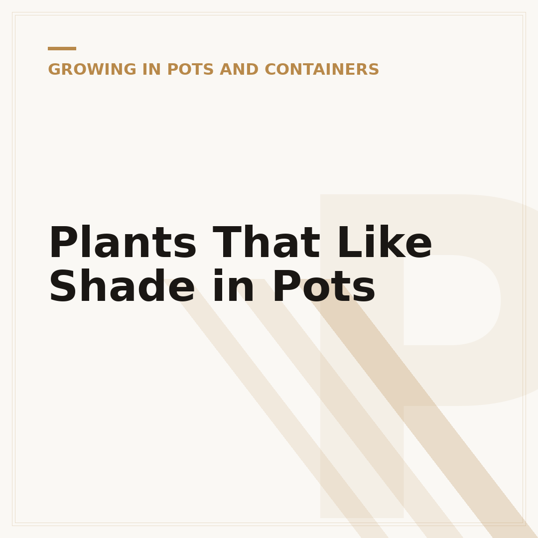 Plants That Like Shade in Pots