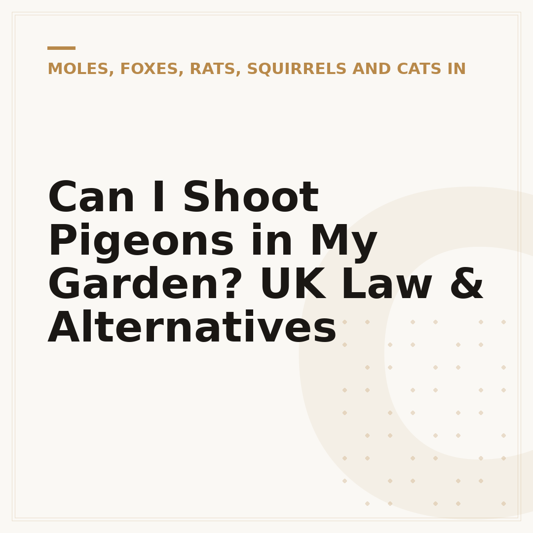 Can I Shoot Pigeons in My Garden? UK Law & Alternatives