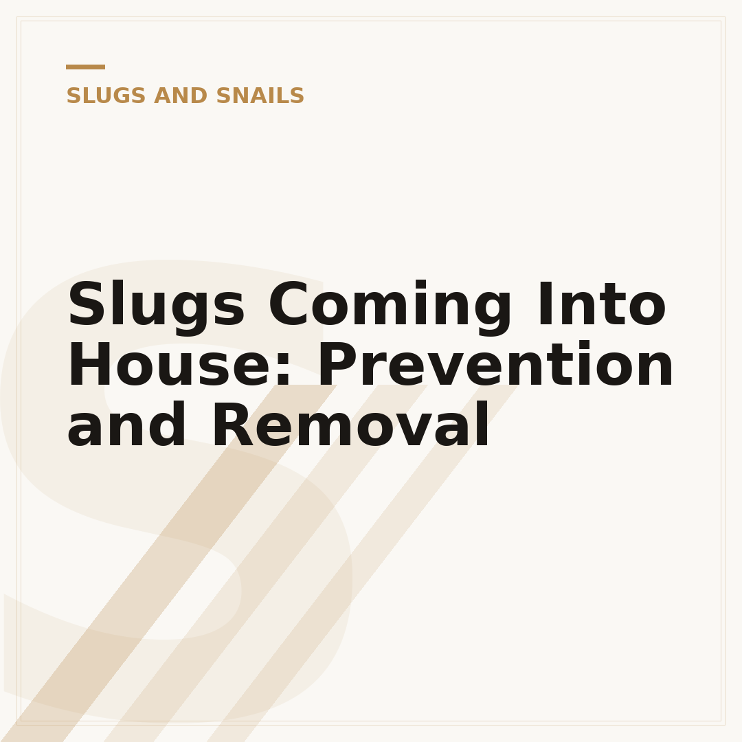 Slugs Coming Into House: Prevention and Removal