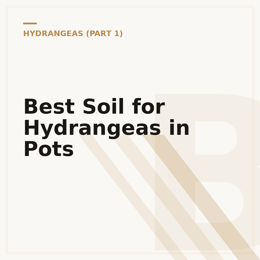 Best Soil for Hydrangeas in Pots