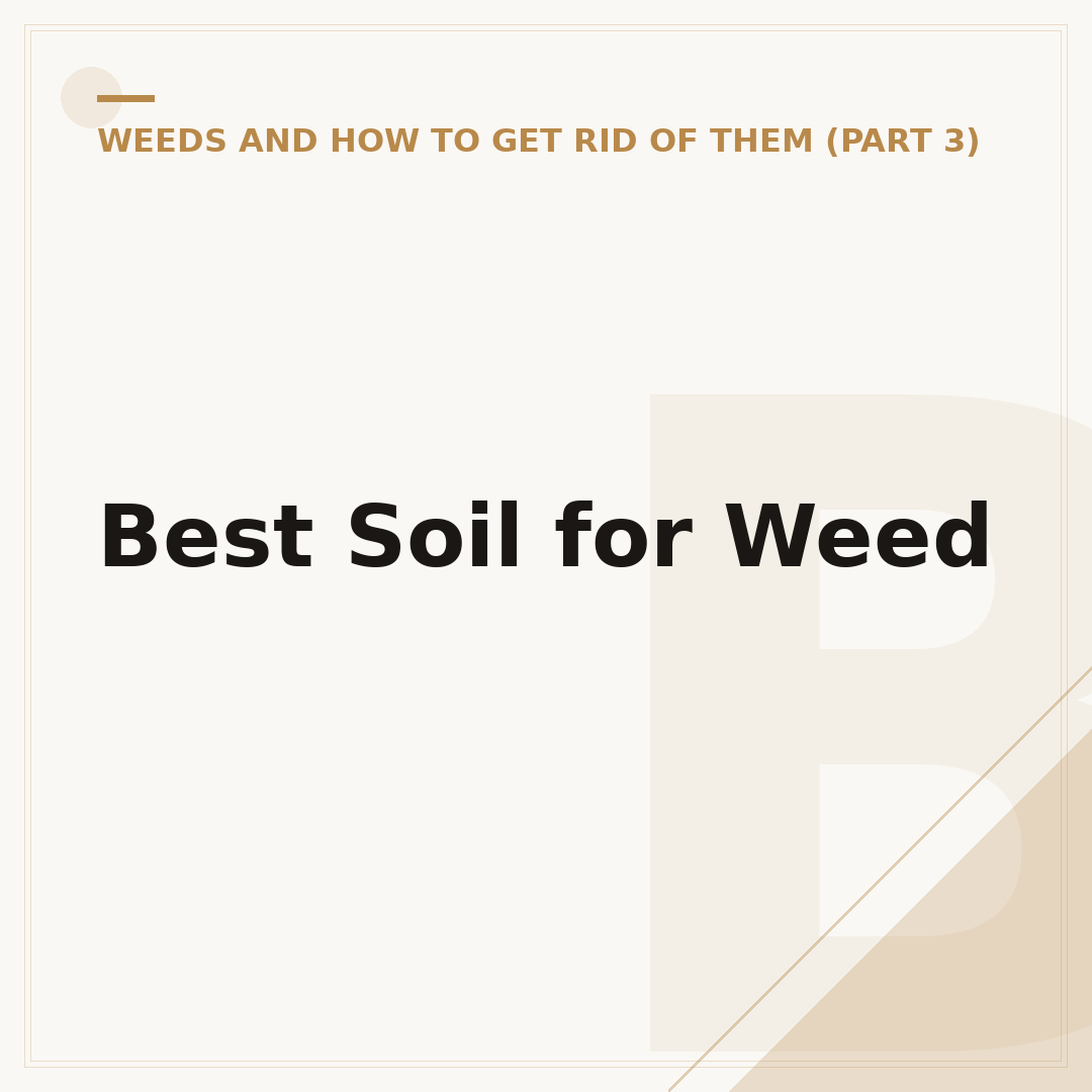 Best Soil for Weed