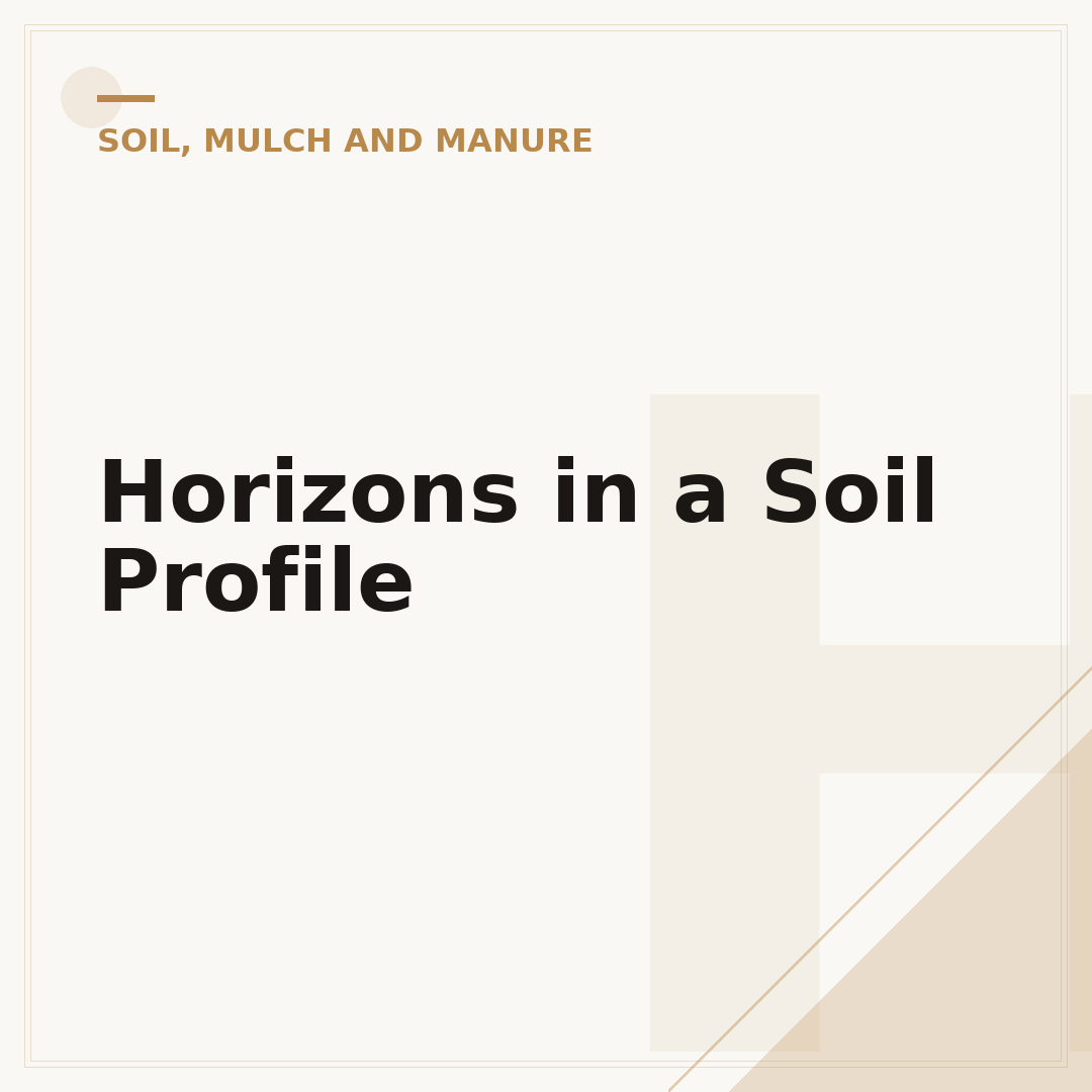 Horizons in a Soil Profile