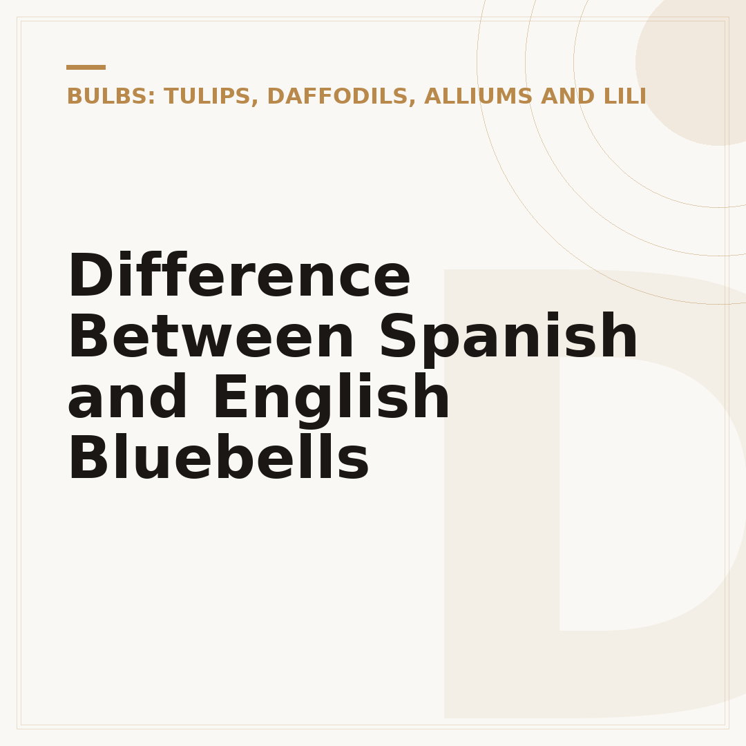 Difference Between Spanish and English Bluebells
