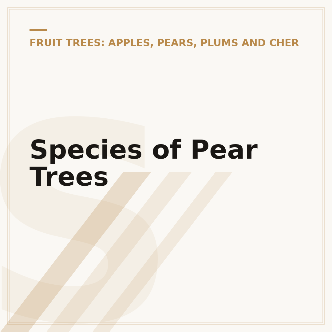 Species of Pear Trees