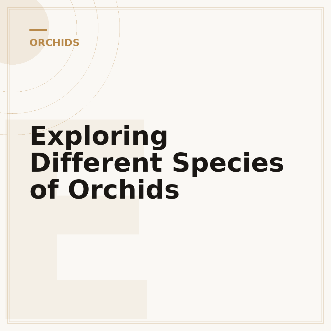 Exploring Different Species of Orchids