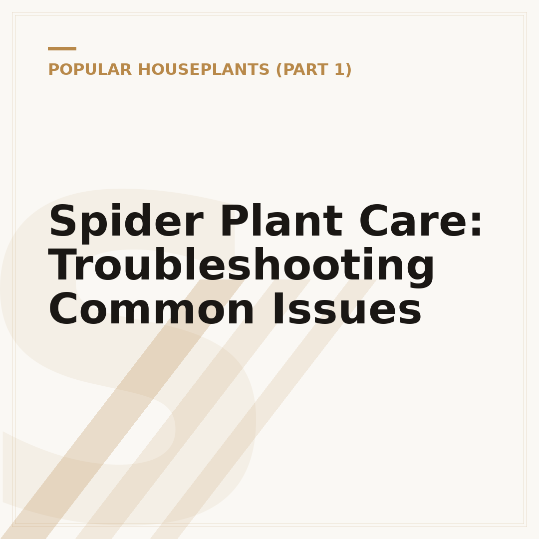 Spider Plant Care: Troubleshooting Common Issues