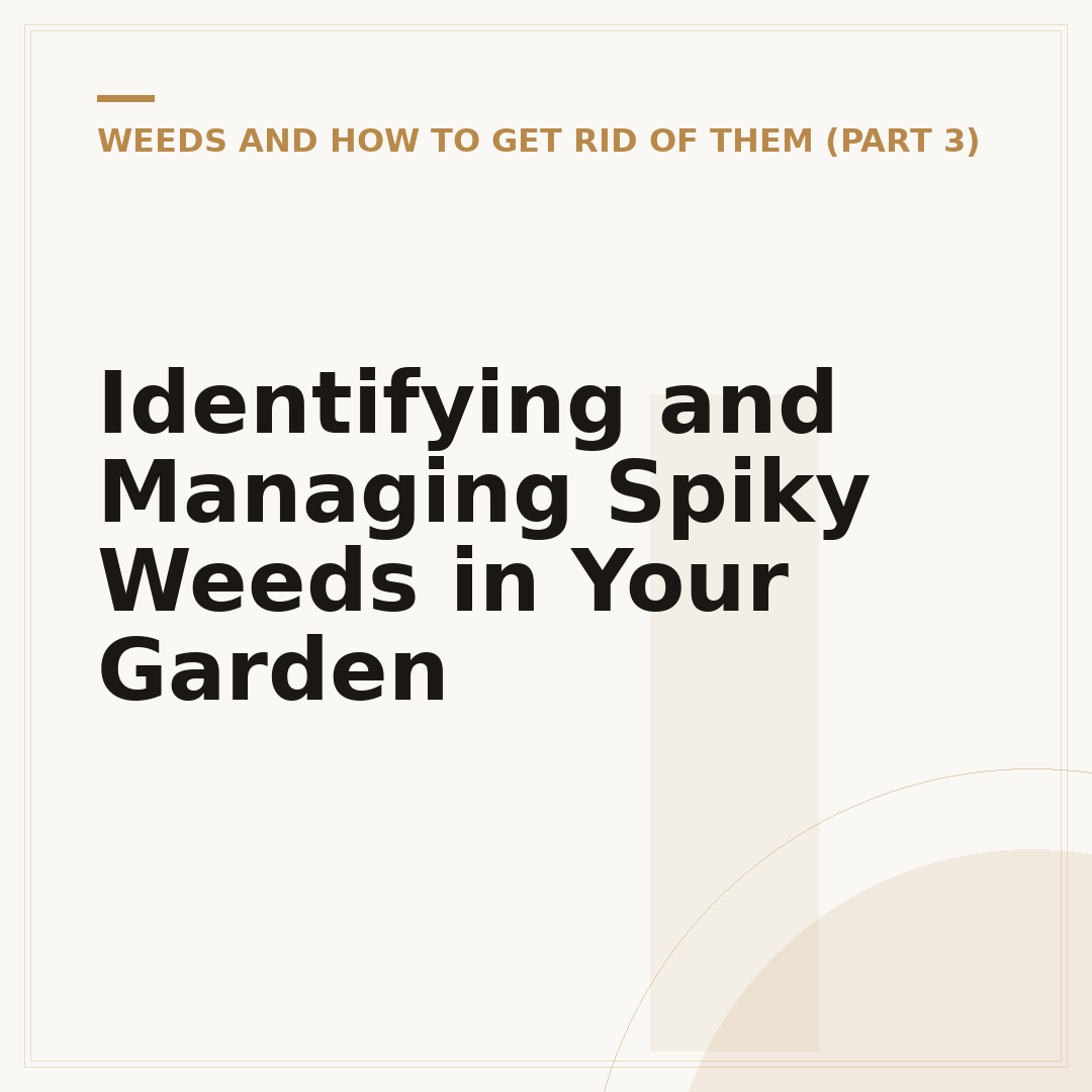 Identifying and Managing Spiky Weeds in Your Garden