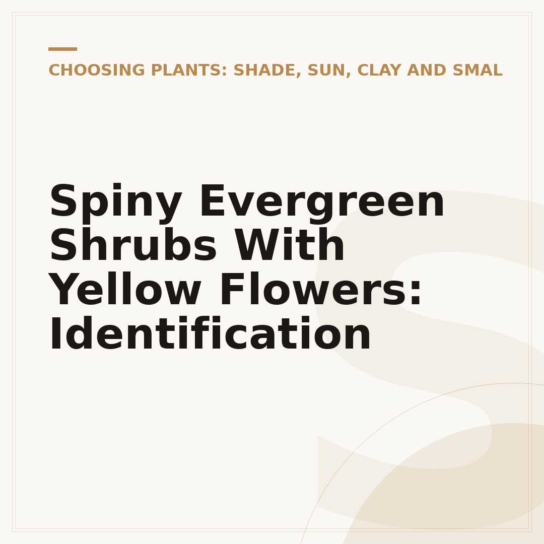 Spiny Evergreen Shrubs With Yellow Flowers: Identification