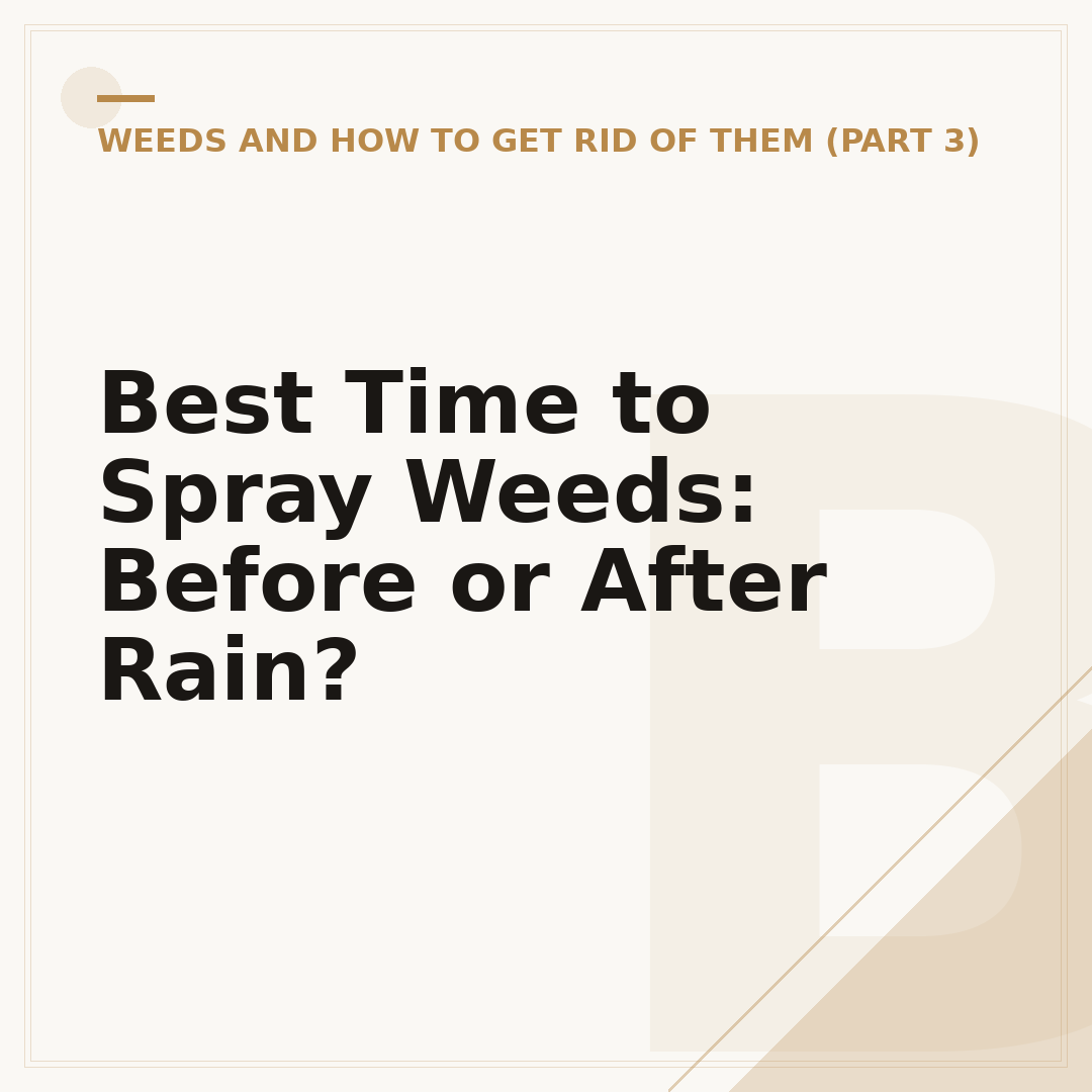 Best Time to Spray Weeds: Before or After Rain?