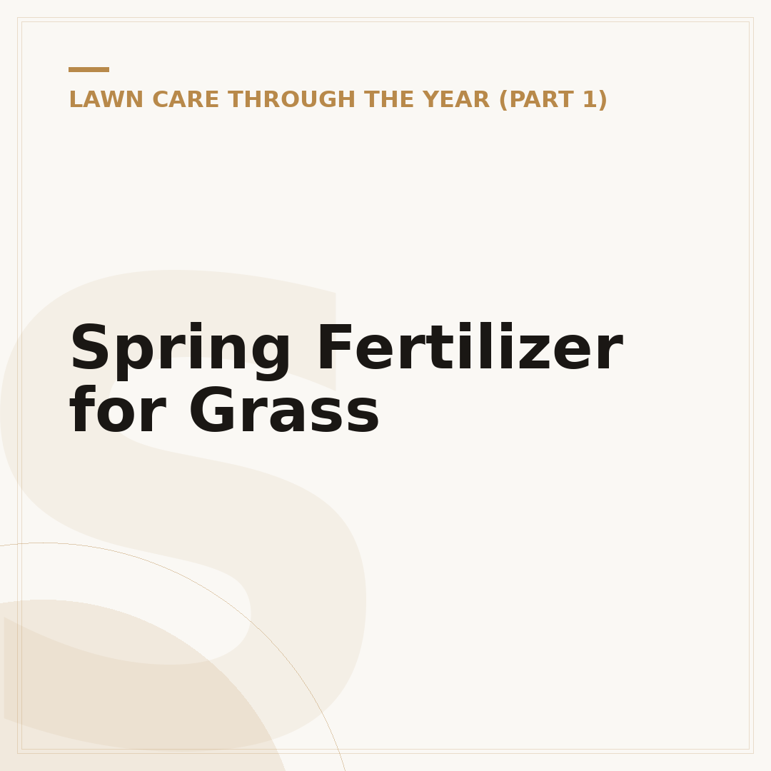 Spring Fertilizer for Grass