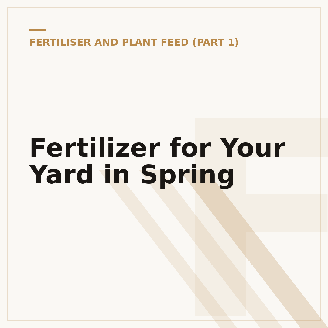 Fertilizer for Your Yard in Spring