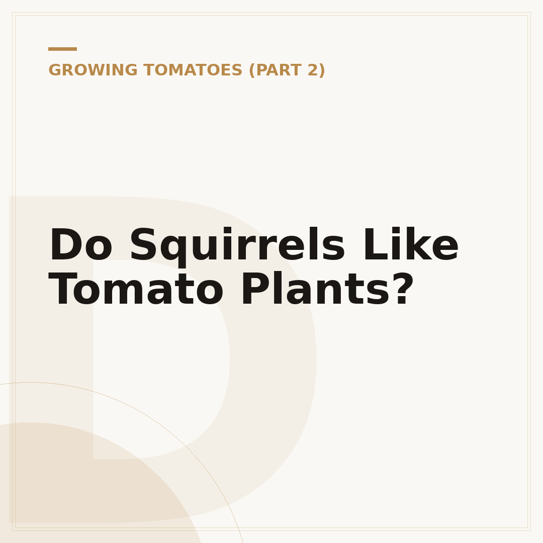 Do Squirrels Like Tomato Plants?