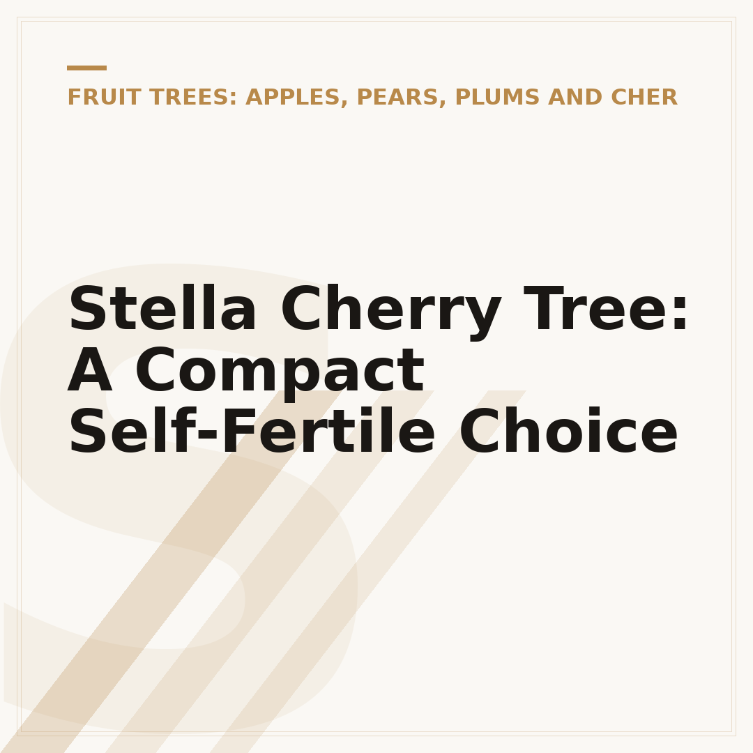 Stella Cherry Tree: A Compact Self-Fertile Choice